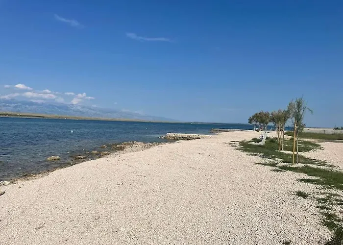 S Vyhledem Na * 비르