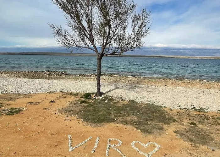 S Vyhledem Na 비르